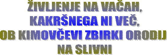 ŽIVLJENJE NA VAČAH,
KAKRŠNEGA NI VEČ,
OB KIMOVČEVI ZBIRKI ORODIJ 
NA SLIVNI